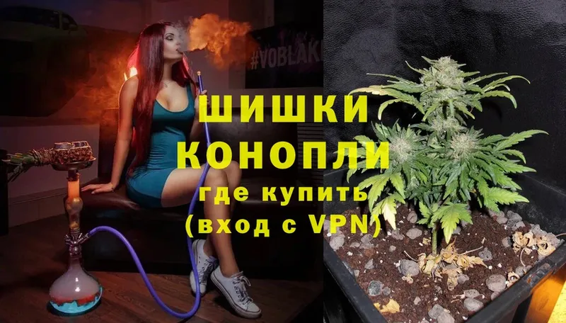 как найти   Ершов  блэк спрут рабочий сайт  Марихуана White Widow 